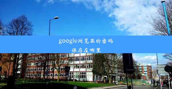 google浏览器的密码保存在哪里