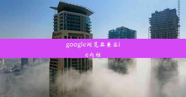 google浏览器兼容ie内核