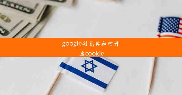 google浏览器如何开启cookie