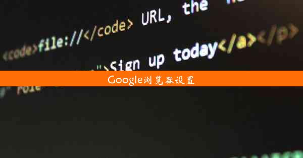 Google浏览器设置