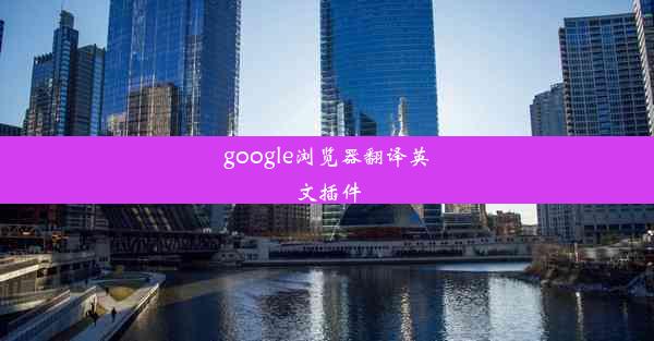 google浏览器翻译英文插件