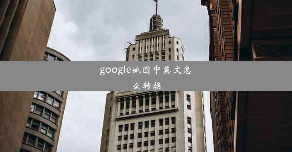 google地图中英文怎么转换