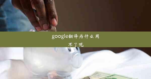 google翻译为什么用不了呢