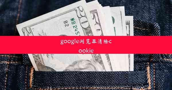 google浏览器清除cookie