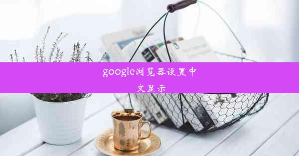 google浏览器设置中文显示