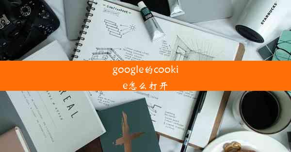 google的cookie怎么打开