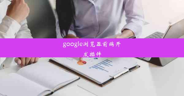 google浏览器前端开发插件