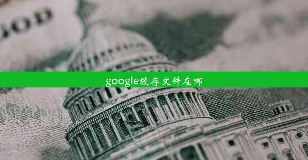 google缓存文件在哪