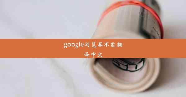 google浏览器不能翻译中文