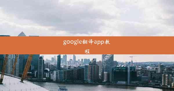 google翻译app教程