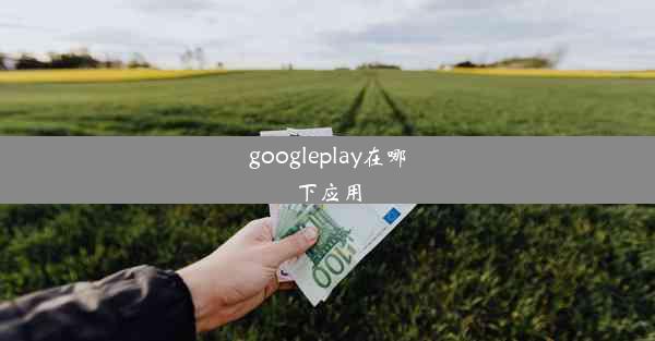 googleplay在哪下应用