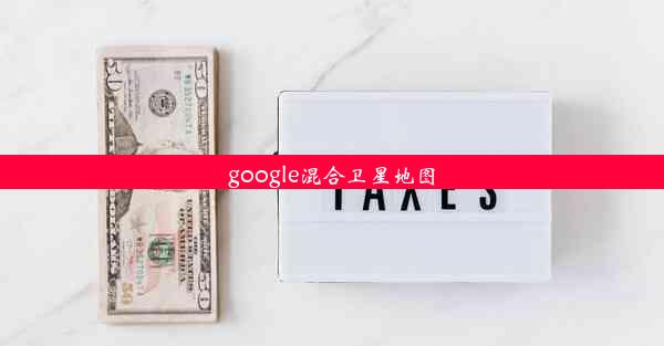 google混合卫星地图