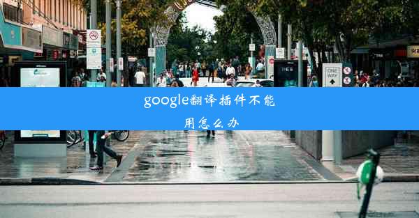 google翻译插件不能用怎么办