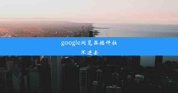 google浏览器插件拉不进去