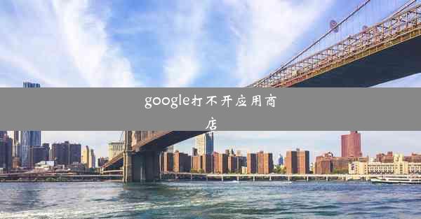 google打不开应用商店