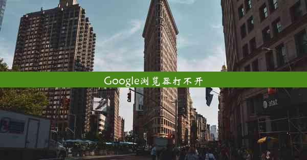 Google浏览器打不开