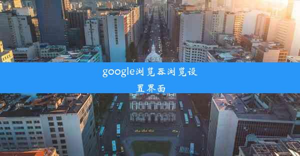 google浏览器浏览设置界面