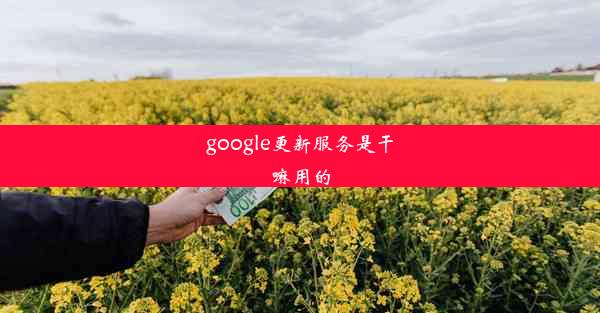 google更新服务是干嘛用的