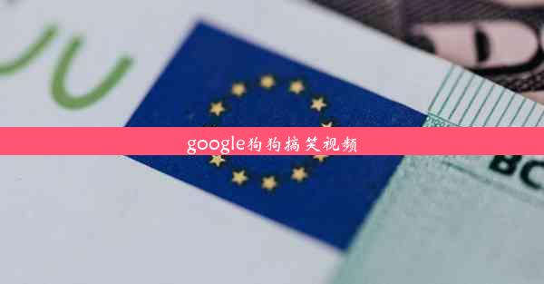 google狗狗搞笑视频