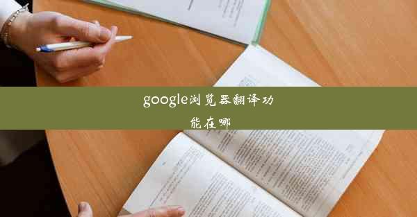 google浏览器翻译功能在哪