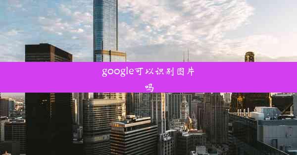 google可以识别图片吗