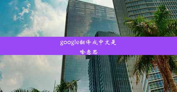 google翻译成中文是啥意思