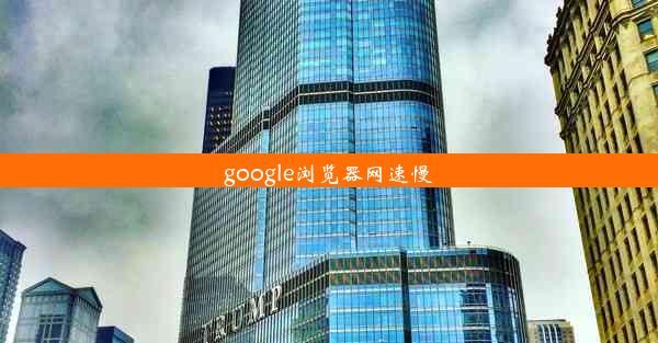 google浏览器网速慢