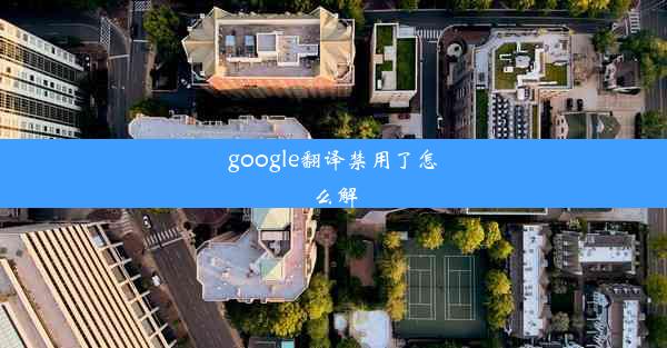 google翻译禁用了怎么解