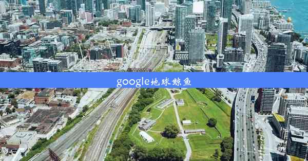 google地球鲸鱼