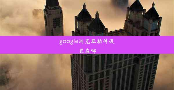 google浏览器插件设置在哪