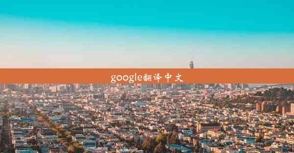 google翻译中文