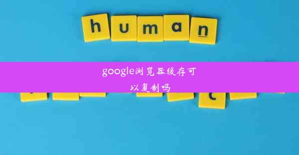 google浏览器缓存可以复制吗