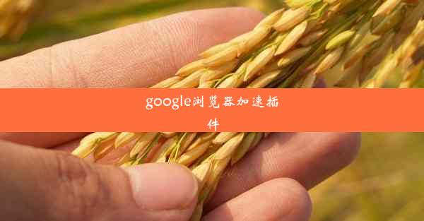 google浏览器加速插件