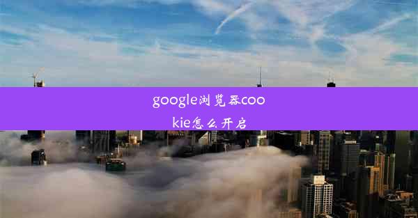 google浏览器cookie怎么开启