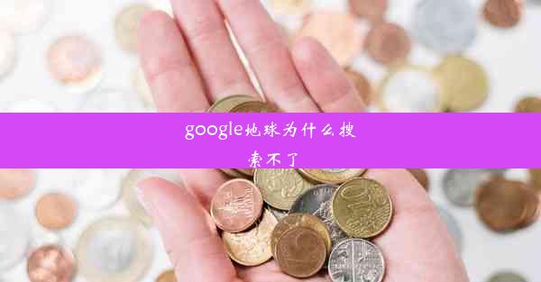 google地球为什么搜索不了