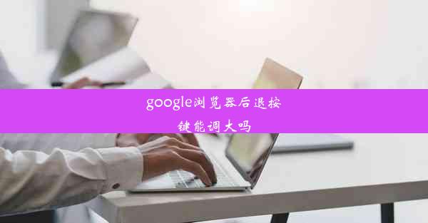 google浏览器后退按键能调大吗