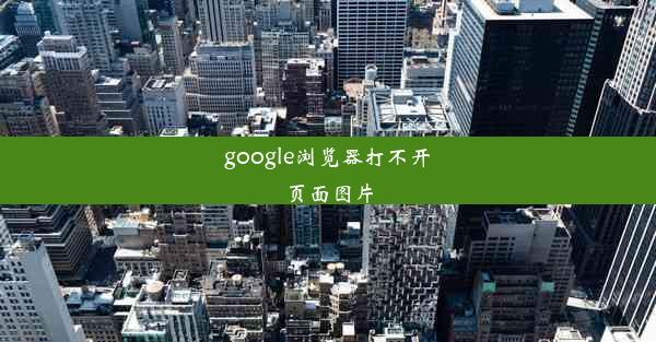 google浏览器打不开页面图片