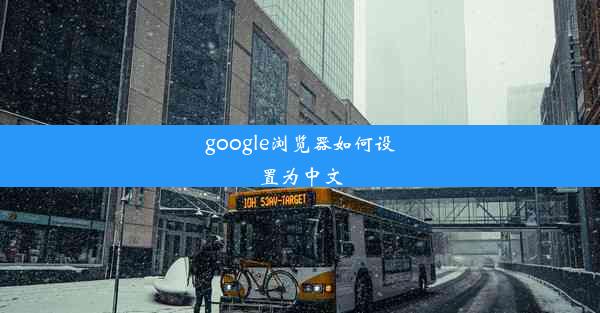 google浏览器如何设置为中文