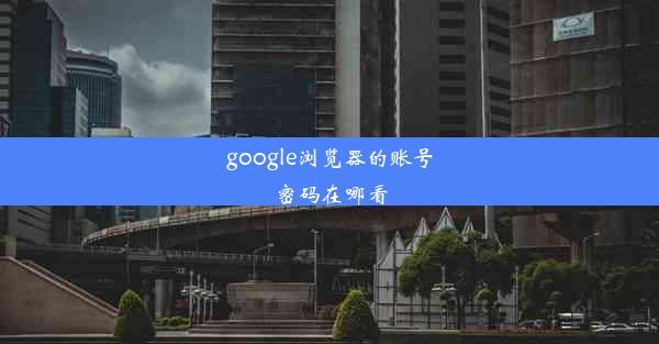 google浏览器的账号密码在哪看