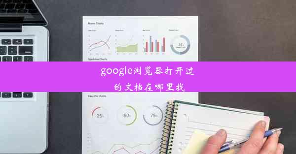 google浏览器打开过的文档在哪里找