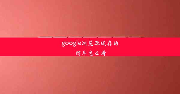 google浏览器缓存的图片怎么看