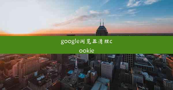 google浏览器清理cookie