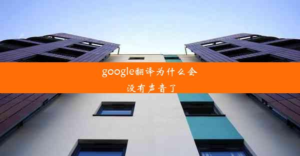 google翻译为什么会没有声音了