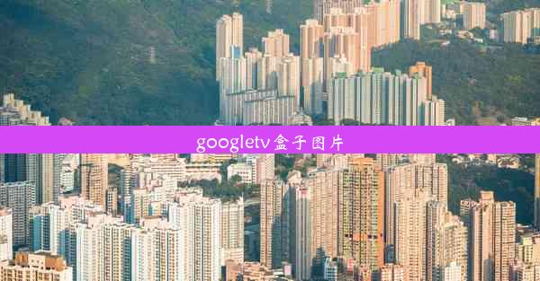 googletv盒子图片