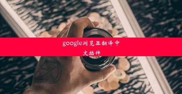 google浏览器翻译中文插件