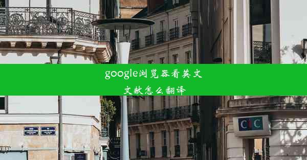 google浏览器看英文文献怎么翻译