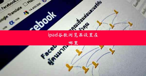 ipad谷歌浏览器设置在哪里