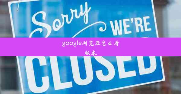 google浏览器怎么看版本