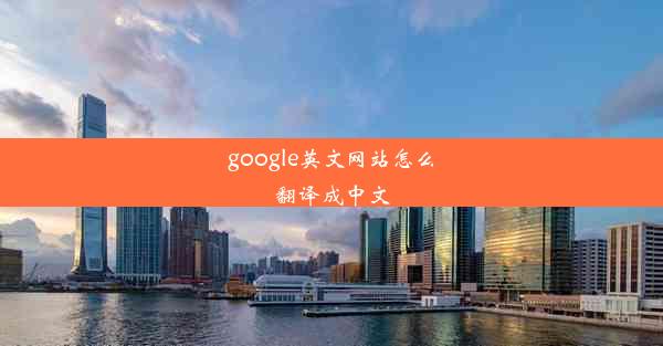 google英文网站怎么翻译成中文