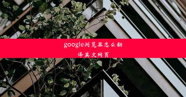 google浏览器怎么翻译英文网页